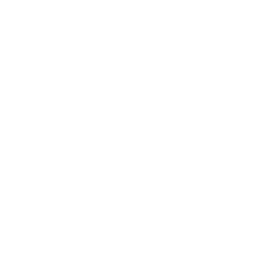 mechanic